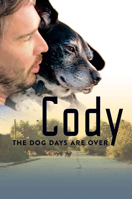 Cody - The dog days are over